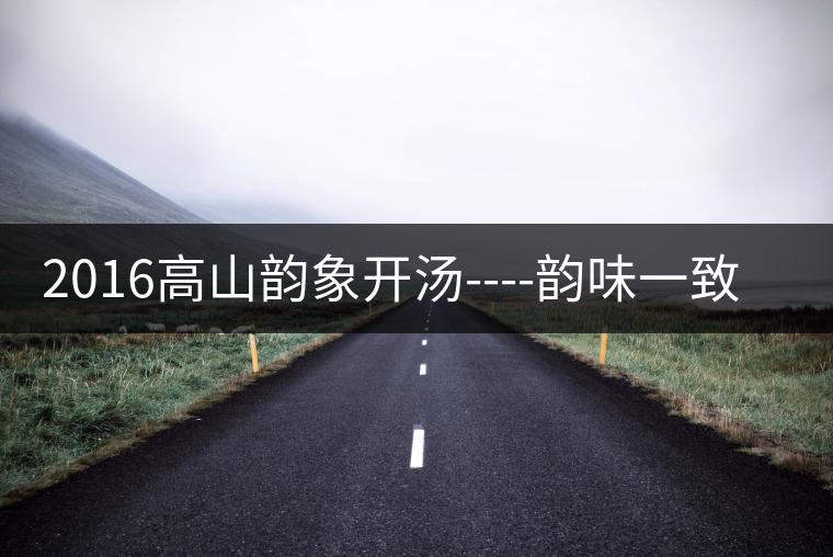 2016高山韻象開湯----韻味一致的高山韻象 2016高山韻象開湯----韻味一致的高山韻象