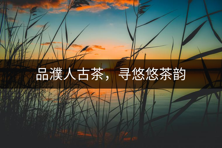 品濮人古茶，尋悠悠茶韻