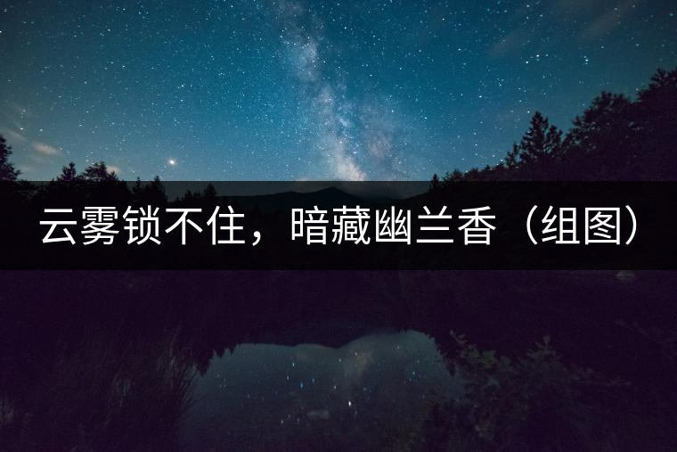 云霧鎖不住，暗藏幽蘭香（組圖）