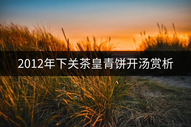 2012年下關(guān)茶皇青餅開(kāi)湯賞析