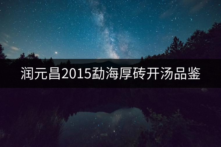 潤元昌2015勐海厚磚開湯品鑒