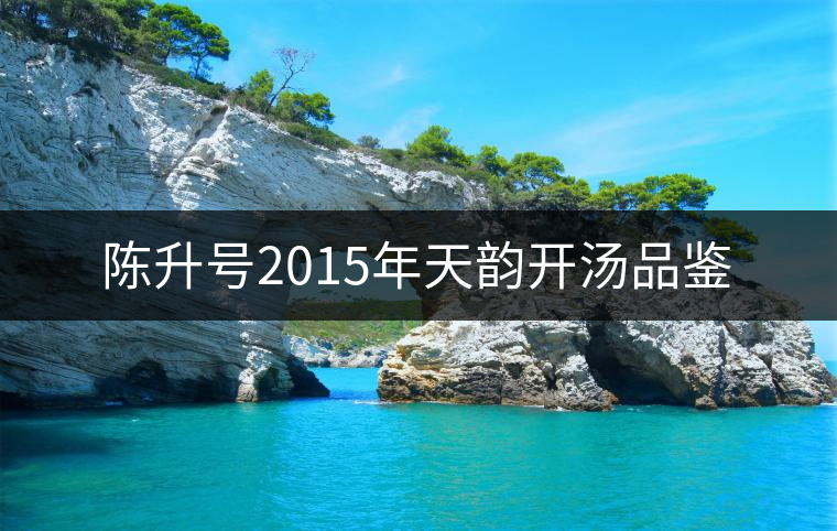 陳升號(hào)2015年天韻開湯品鑒 陳升號(hào)2015年天韻開湯品鑒