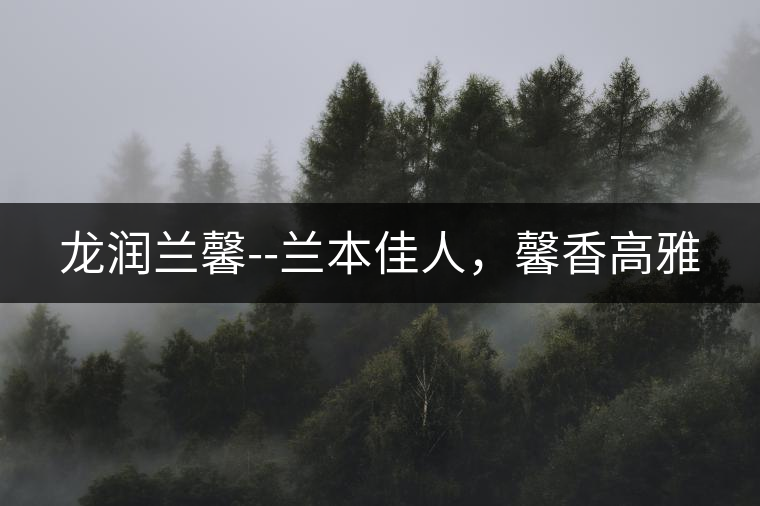 龍潤(rùn)蘭馨--蘭本佳人，馨香高雅