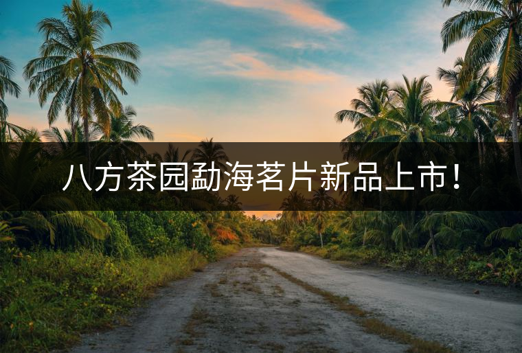 八方茶園勐海茗片新品上市！