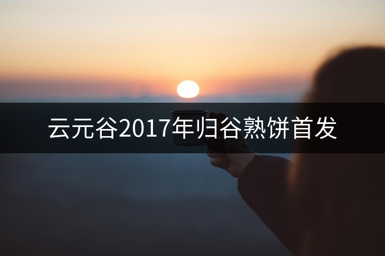 云元谷2017年歸谷熟餅首發(fā) 云元谷2017年歸谷熟餅首發(fā)