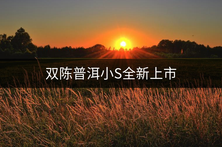 雙陳普洱小S全新上市 雙陳普洱小S全新上市