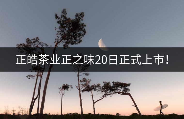 正皓茶業(yè)正之味20日正式上市! 正皓茶業(yè)正之味20日正式上市!