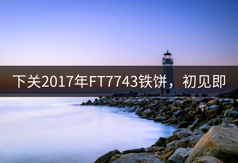 下關(guān)2017年FT7743鐵餅，初見即傾城!