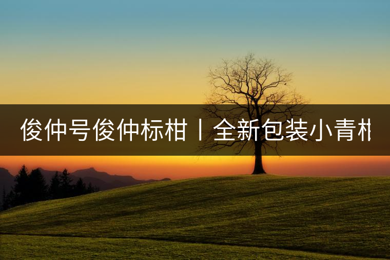 俊仲號俊仲標(biāo)柑丨全新包裝小青柑震撼上市! 俊仲號俊仲標(biāo)柑丨全新包裝小青柑震撼上市!