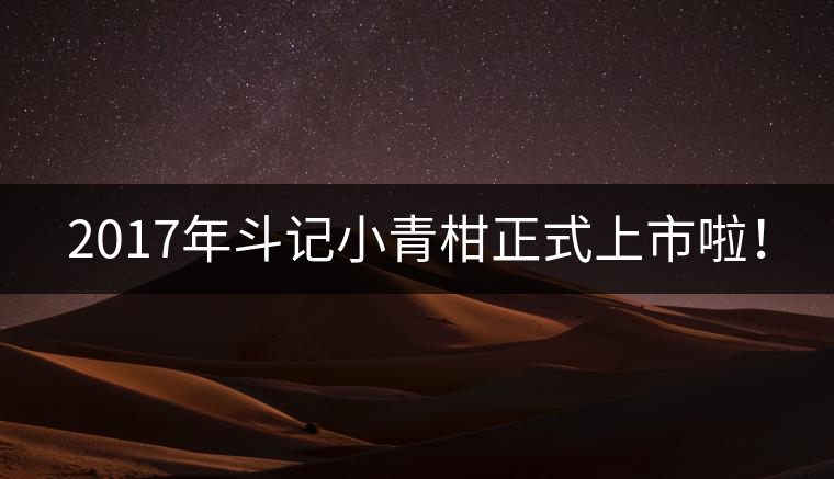 2017年斗記小青柑正式上市啦！