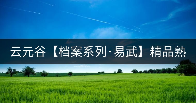 云元谷【檔案系列·易武】精品熟茶，精裝上市！