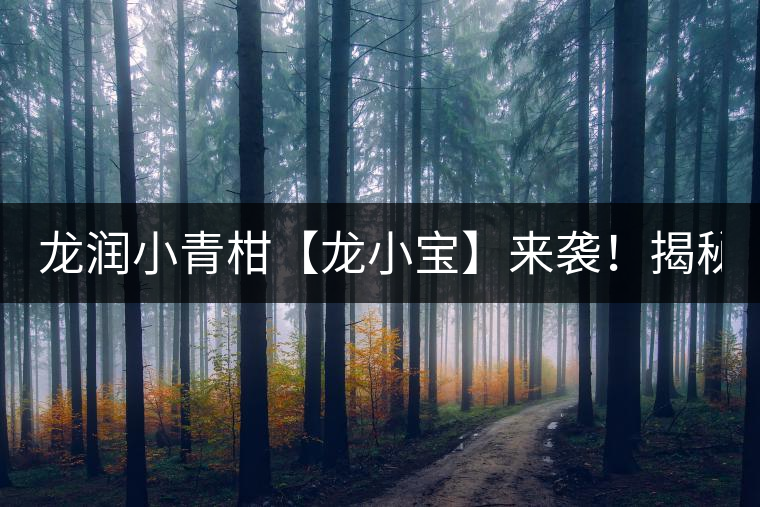 龍潤(rùn)小青柑【龍小寶】來襲！揭秘它的前半生！