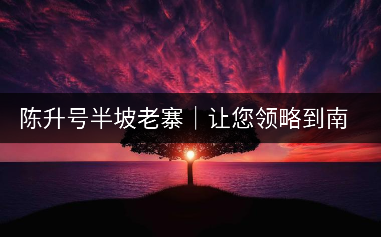 陳升號(hào)半坡老寨｜讓您領(lǐng)略到南糯山大樹茶口感的地道！