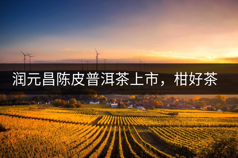 潤元昌陳皮普洱茶上市，柑好茶更好，精品普洱茶