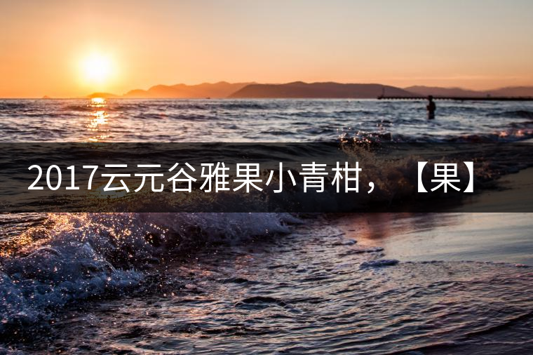 2017云元谷雅果小青柑，【果】真來了