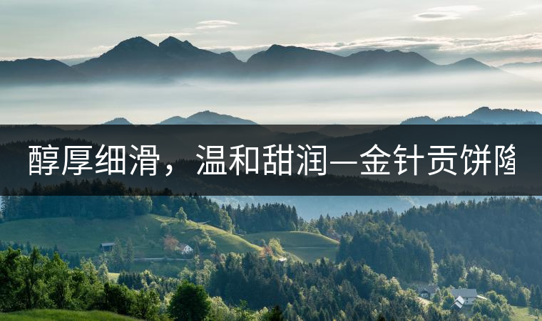 醇厚細滑，溫和甜潤—金針貢餅隆重上市！