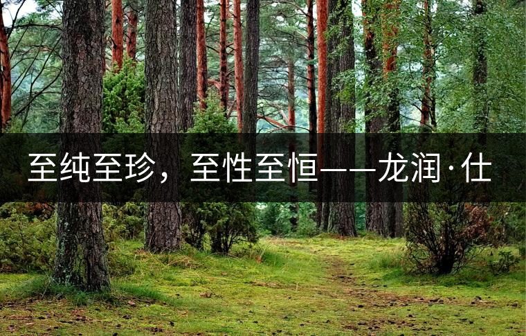 至純至珍，至性至恒——龍潤(rùn)·仕通茶新上市！