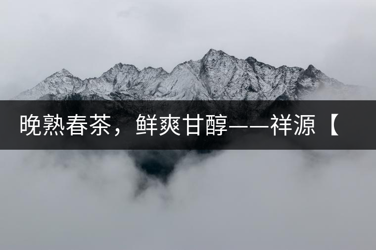 晚熟春茶，鮮爽甘醇——祥源【政和大白】清鮮上市