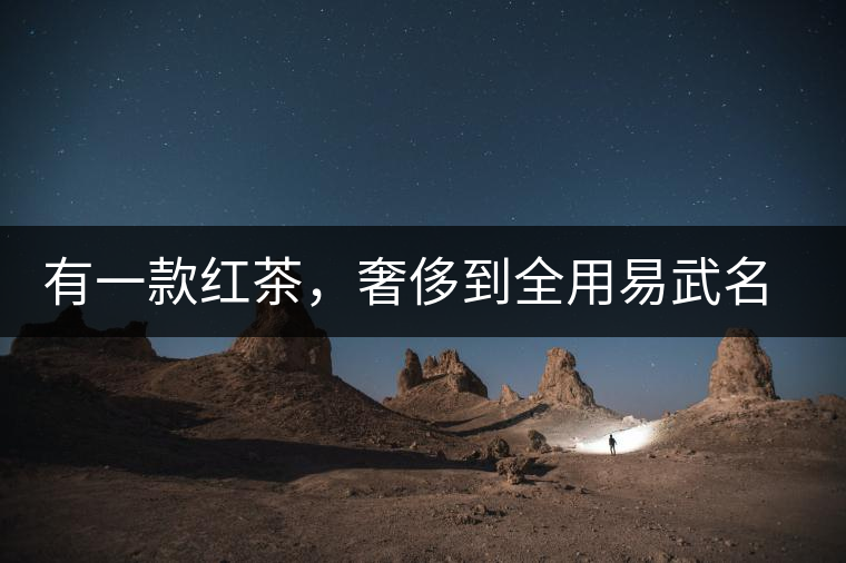 有一款紅茶，奢侈到全用易武名寨古樹(shù)茶發(fā)酵！