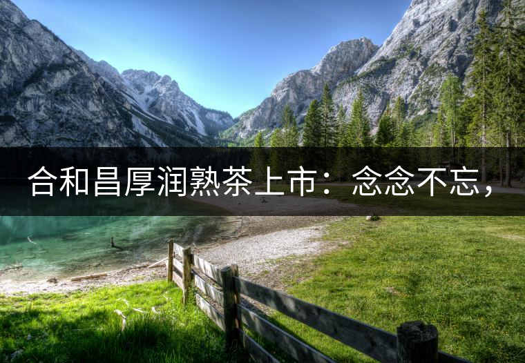 合和昌厚潤熟茶上市：念念不忘，必有回響！