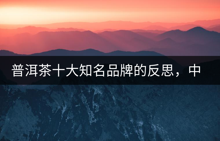 普洱茶十大知名品牌的反思，中國(guó)有沒有真正的普洱茶高端品牌？
