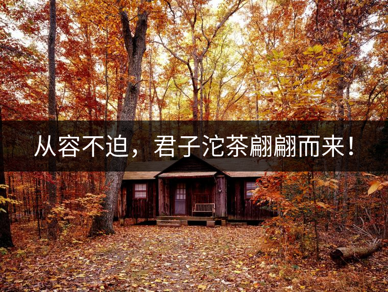 從容不迫，君子沱茶翩翩而來！