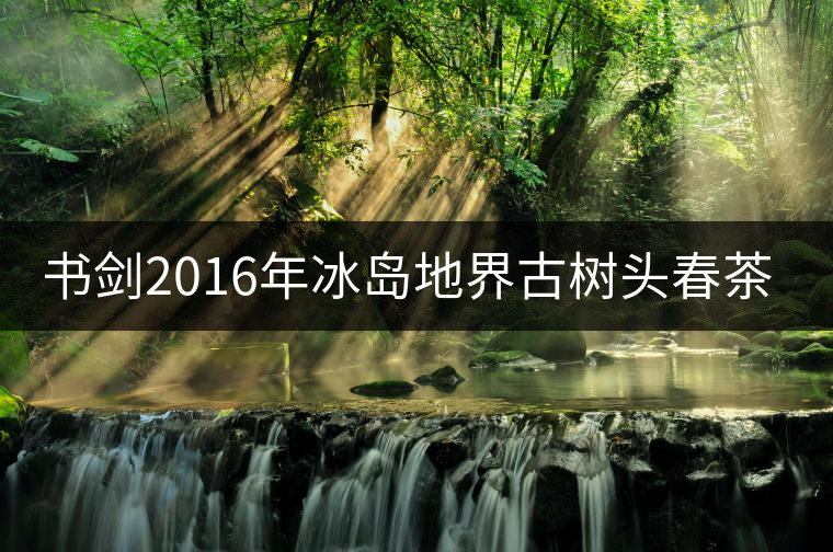 書劍2016年冰島地界古樹頭春茶隆重上市！