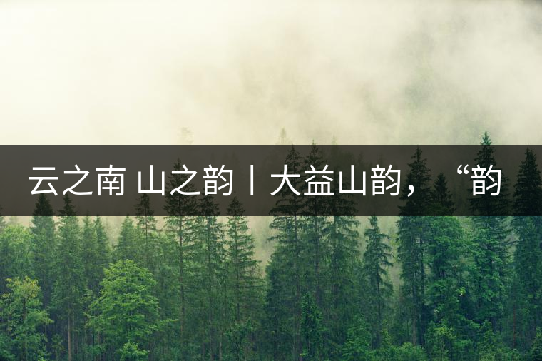 云之南 山之韻丨大益山韻，“韻”味傳奇之山韻歸來