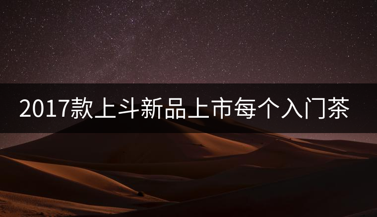 2017款上斗新品上市每個(gè)入門茶人都欠自己一餅上斗！