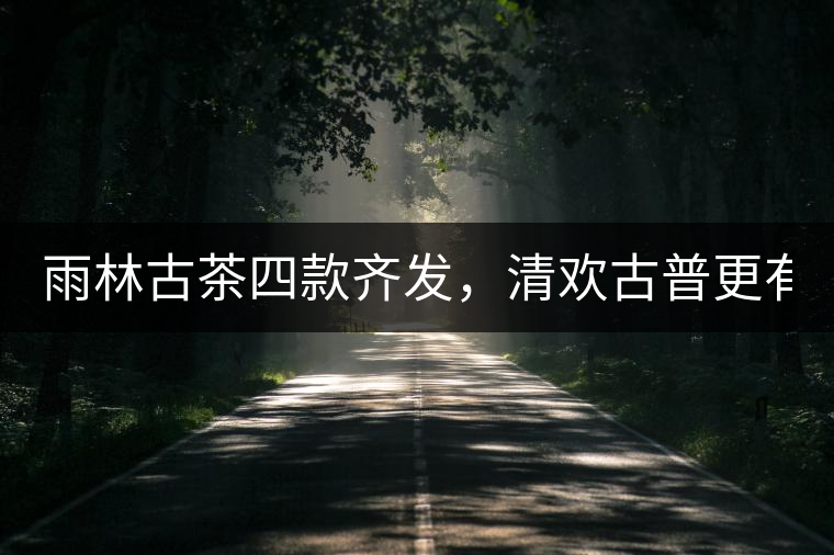 雨林古茶四款齊發(fā)，清歡古普更有味！