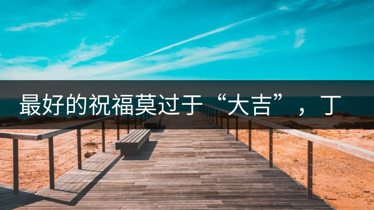 最好的祝福莫過于“大吉”，丁酉年生肖餅震撼來襲！