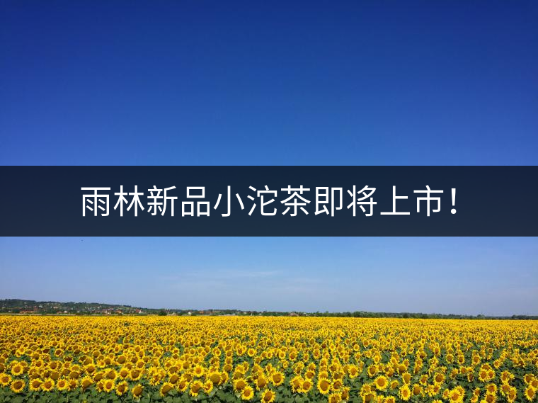 雨林新品小沱茶即將上市！