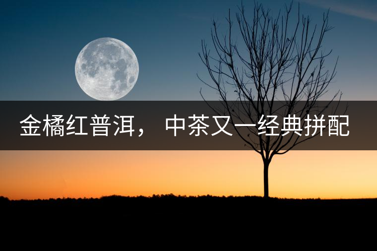 金橘紅普洱， 中茶又一經(jīng)典拼配力作，值得期待！