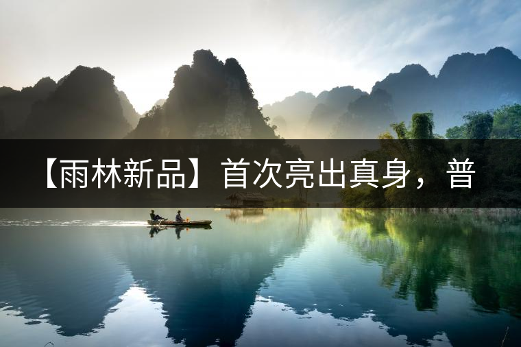 【雨林新品】首次亮出真身,普洱茶史上第一件新班章! 【雨林新品】首次亮出真身,普洱茶史上第一件新班章!