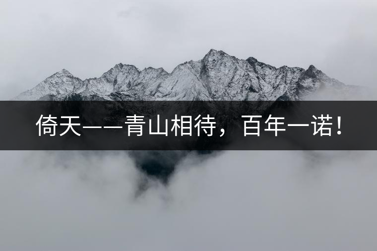 倚天——青山相待，百年一諾！