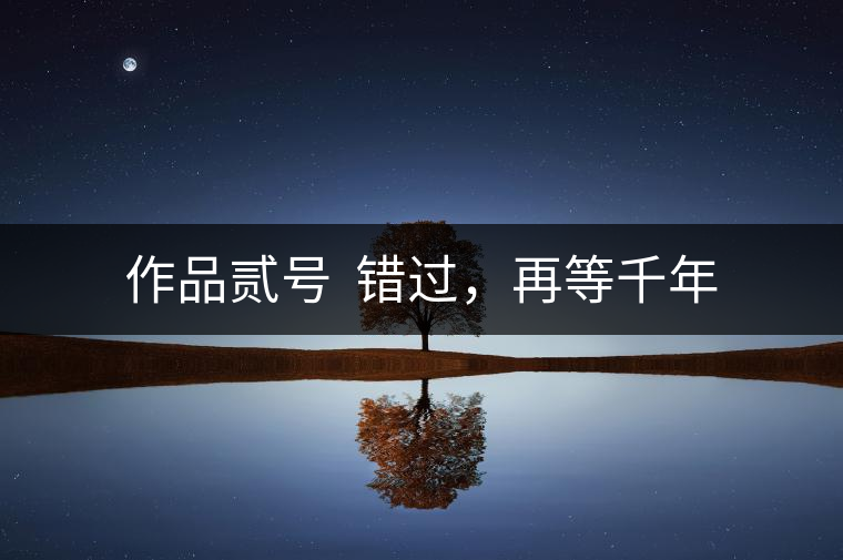 作品貳號  錯過，再等千年