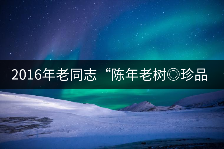 2016年老同志“陳年老樹◎珍品普洱”隆重上市! 2016年老同志“陳年老樹◎珍品普洱”隆重上市!