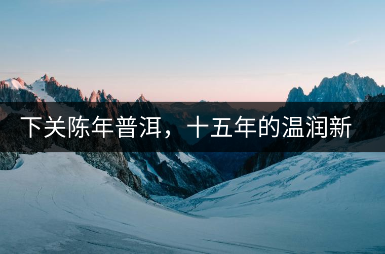 下關陳年普洱，十五年的溫潤新生