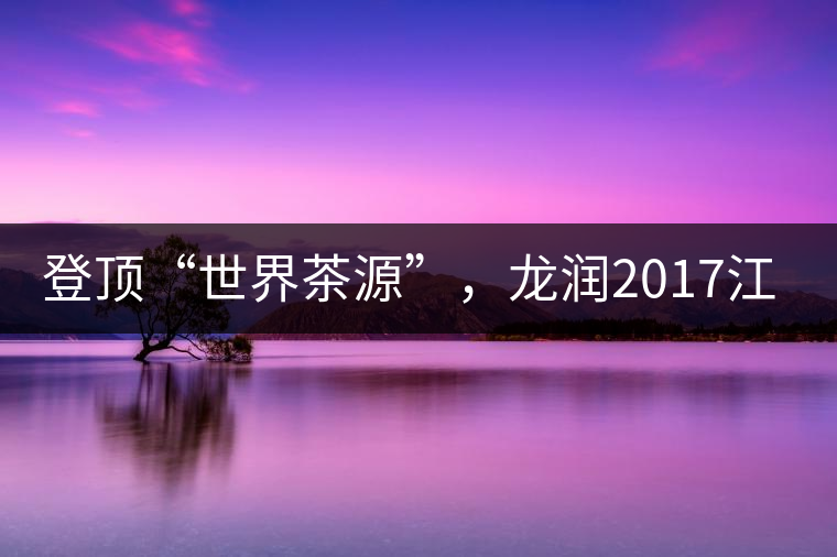 登頂“世界茶源”，龍潤2017江城茶上市啦！