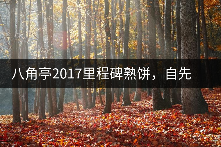 八角亭2017里程碑熟餅，自先發(fā)酵而后愛(ài)人