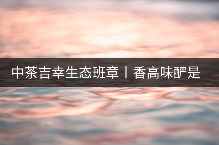 中茶吉幸生態(tài)班章丨香高味釅是王者,且品且珍惜 中茶吉幸生態(tài)班章丨香高味釅是王者,且品且珍惜