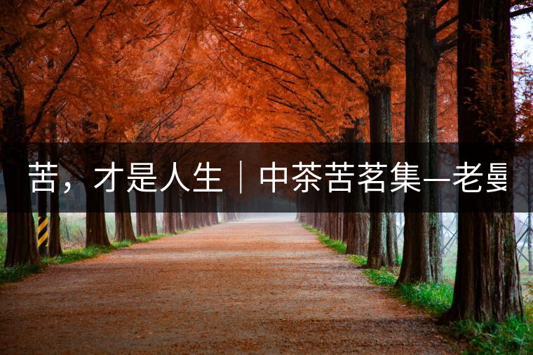 苦，才是人生｜中茶苦茗集—老曼峨普洱茶（生茶）