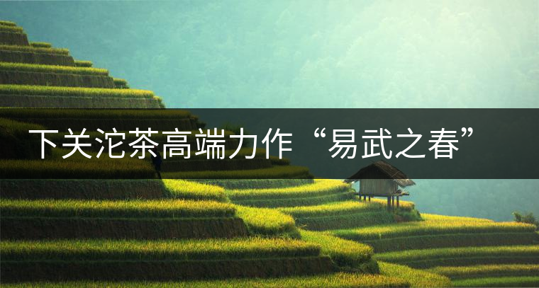 下關沱茶高端力作“易武之春”即將上市 下關沱茶高端力作“易武之春”即將上市