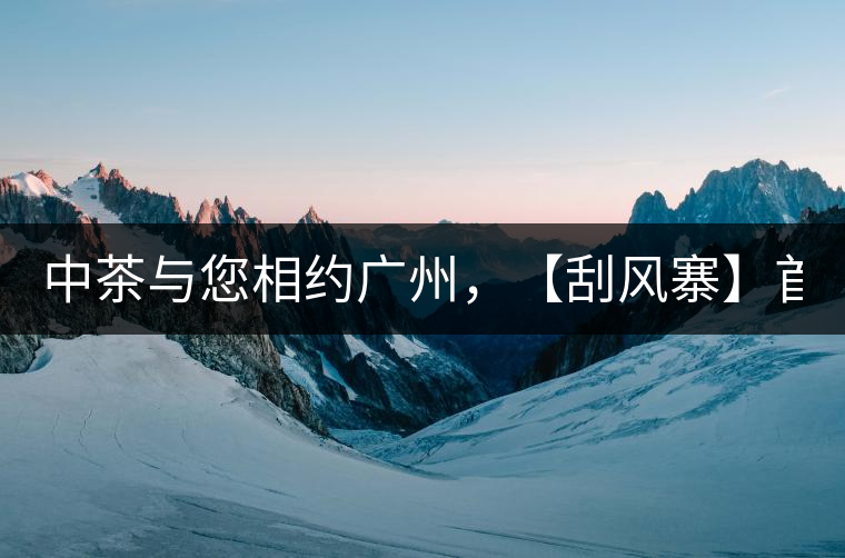 中茶與您相約廣州，【刮風(fēng)寨】首次亮相！