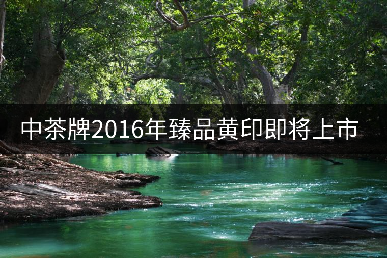 中茶牌2016年臻品黃印即將上市！