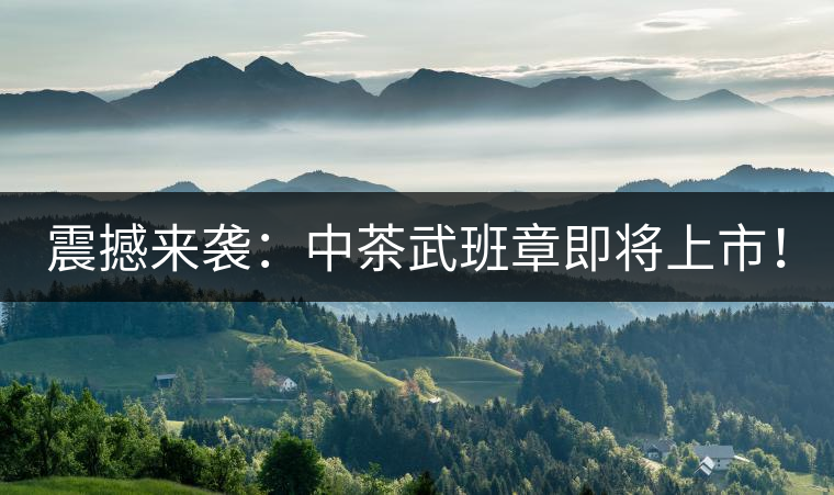 震撼來襲：中茶武班章即將上市！