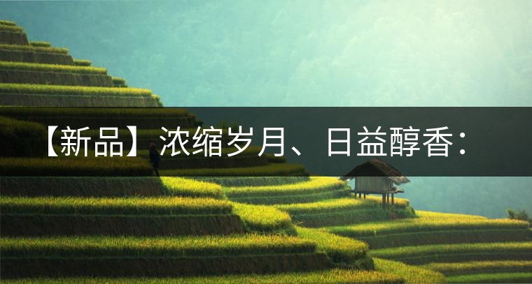 【新品】濃縮歲月、日益醇香：陳臻號陳品熟餅即將上市！