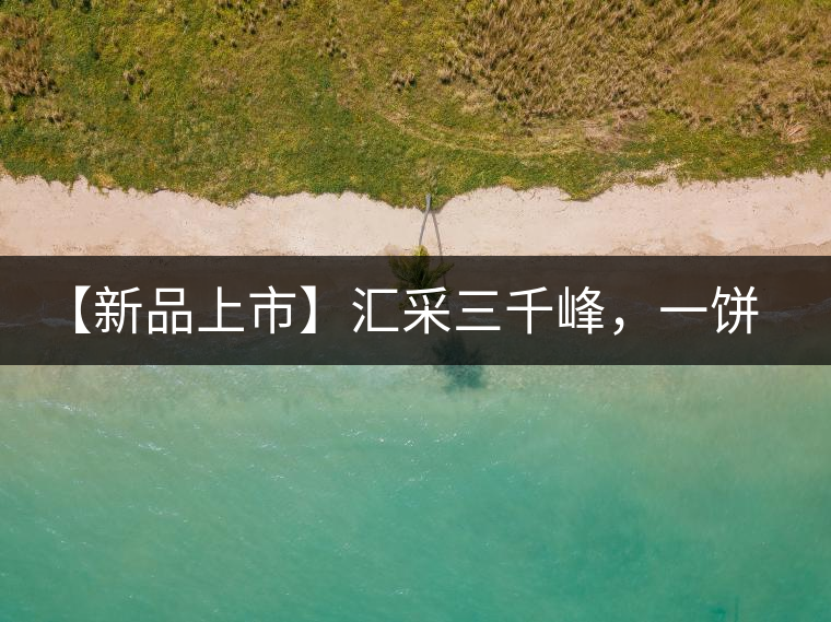 【新品上市】匯采三千峰，一餅群山鑄——群峰之峻！