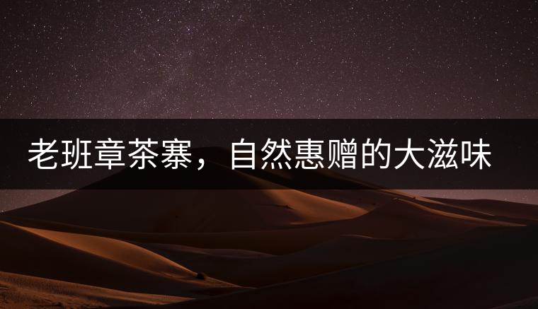 老班章茶寨，自然惠贈(zèng)的大滋味，大滿足