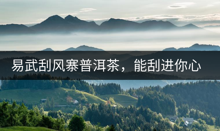 易武刮風(fēng)寨普洱茶，能刮進(jìn)你心中的一道風(fēng)